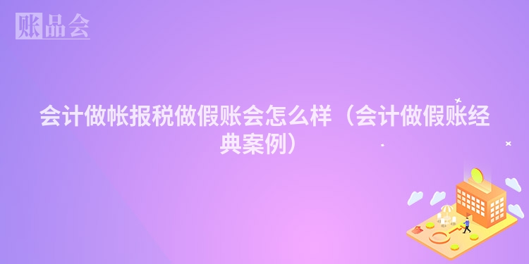 会计做帐报税做假账会怎么样（会计做假账经典案例）